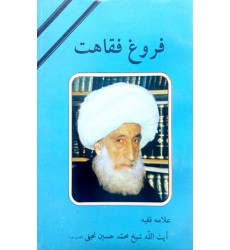 کتاب فروغ فقاهت شرح حال آیت الله شیخ محمد حسین نجفی