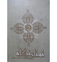 کتاب تمنای نگاه