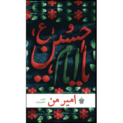 کتاب امیر من