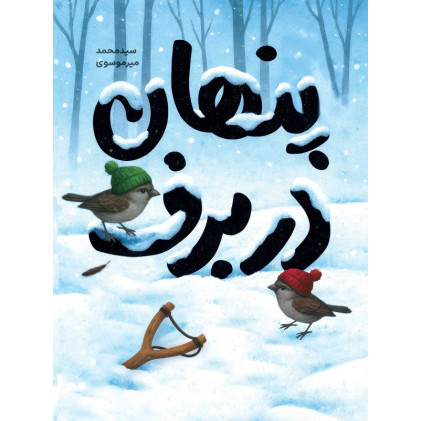 کتاب پنهان در برف