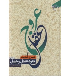 کتاب عروج عقل شرح حدیث جنود عقل و جهل دوره 2 جلدی