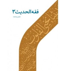 کتاب فقه الحدیث - 3