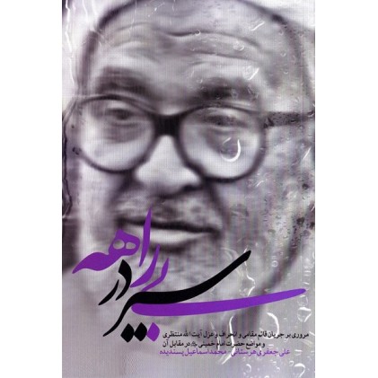 کتاب سیر در بیراهه