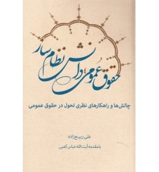 کتاب حقوق عمومی, دانش نظام ساز: چالش ها و راهکارهای نظری تحول در حقوق عمومی