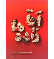 کتاب آقا زاده ها