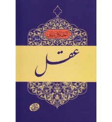 کتاب اخلاق ربانی جلد 2 تادیب عقل