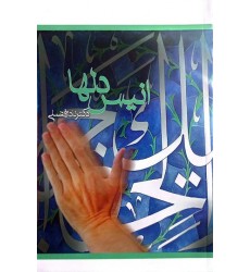 کتاب انیس دلها