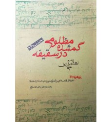 کتاب مظلومی گمشده در سقیفه جلد دوم پژوهشی درباره اختلافات امیرالمومنین علی (ع) با خلفا