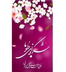 کتاب شکوفه های طوبا