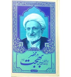 کتاب در محضر آیت الله بهجت جلد 4